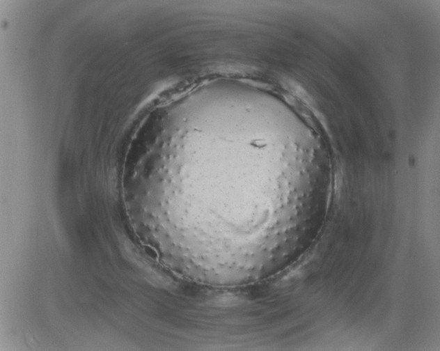 X0000084000249200703022013