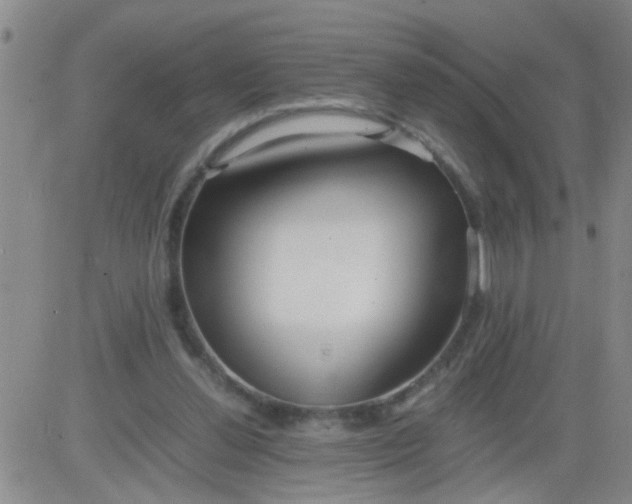 X0000084000252200703022013