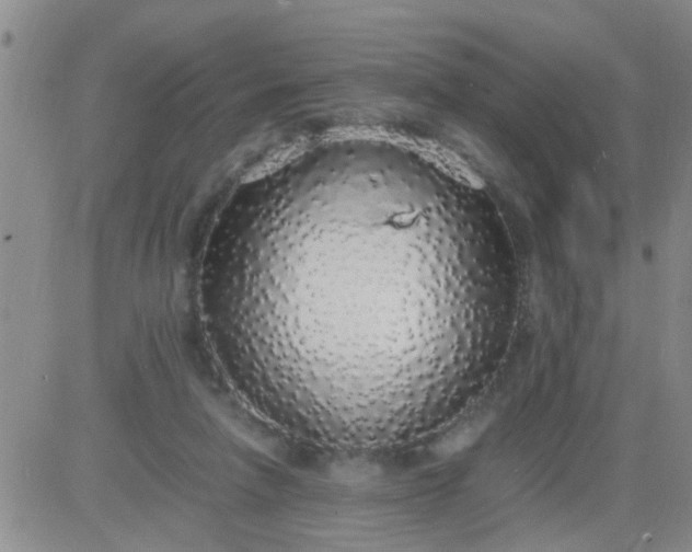 X0000084000258200703022013