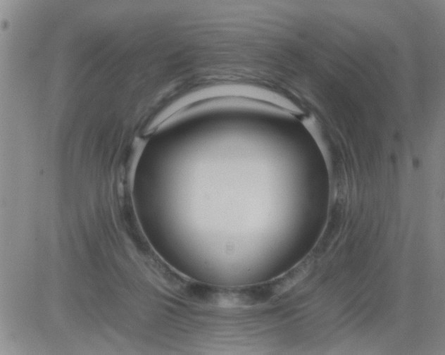 X0000084000264200703022013
