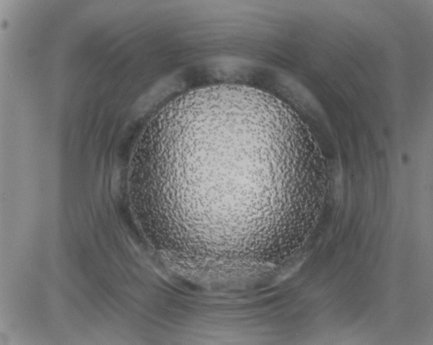 X0000084000266200703022013