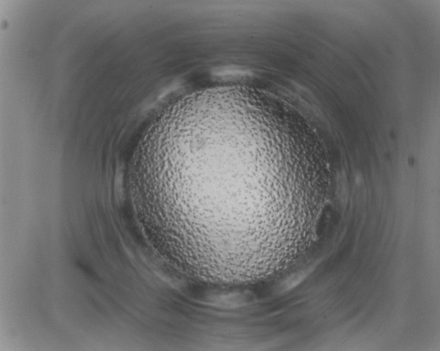 X0000084000267200703022013