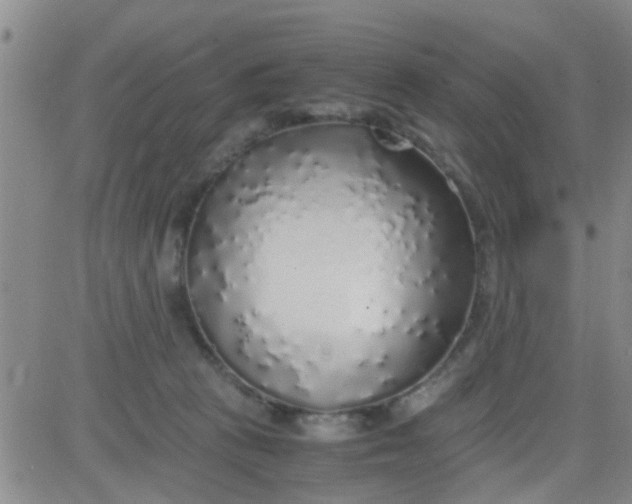 X0000084000273200703022013