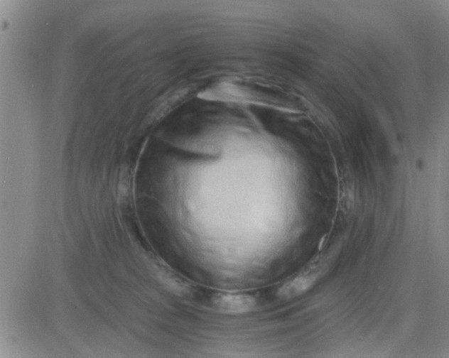X0000084000277200703022013