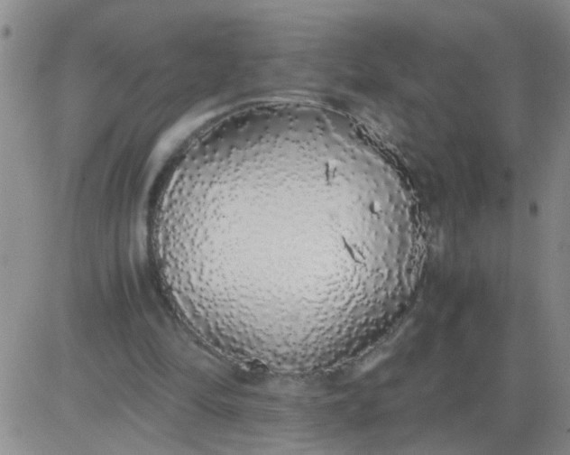 X0000084000294200703022012