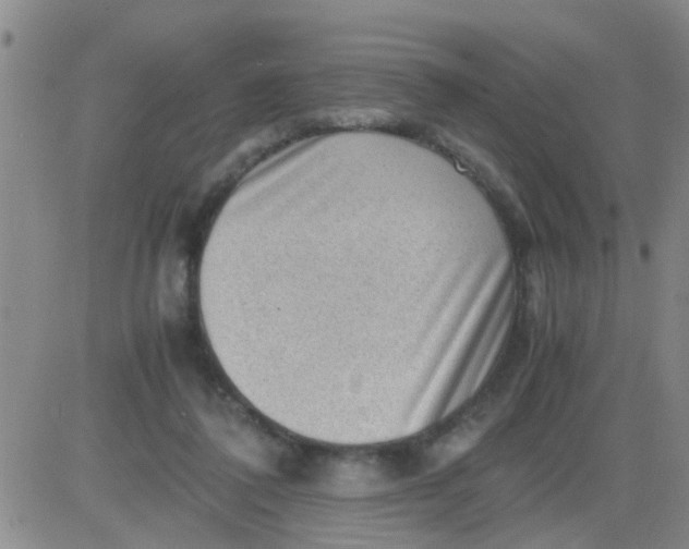 X0000084000308200703022012