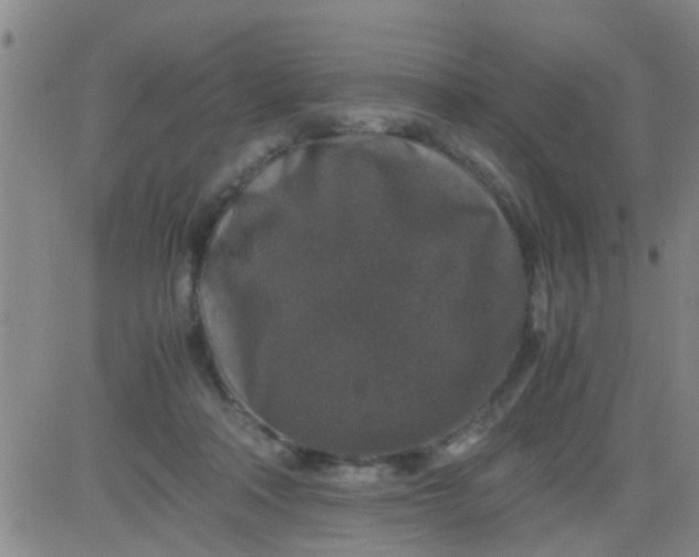 X0000084000314200703022012