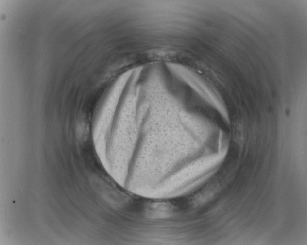 X0000084000324200703022012