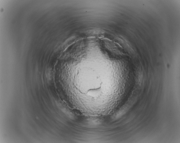 X0000084000326200703022012