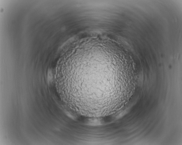 X0000084000335200703022012