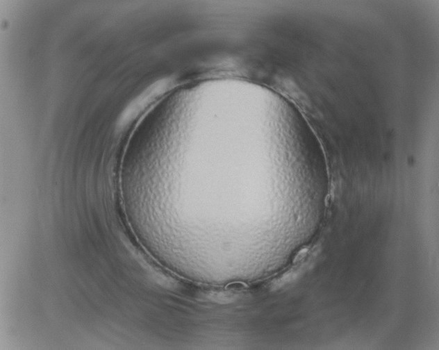 X0000084000341200703022011