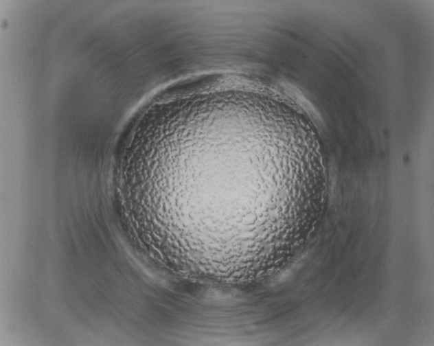 X0000084000346200703022011