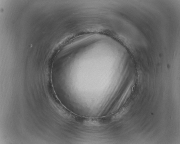 X0000084000354200703022011