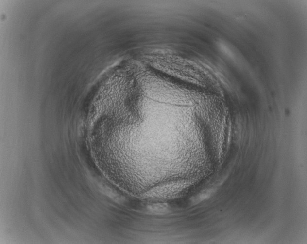 X0000084000355200703022011