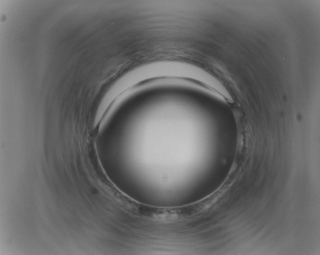 X0000084000362200703022011