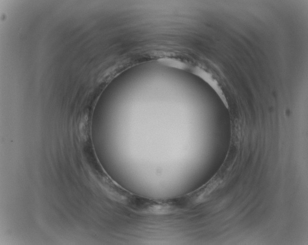 X0000084000364200703022011