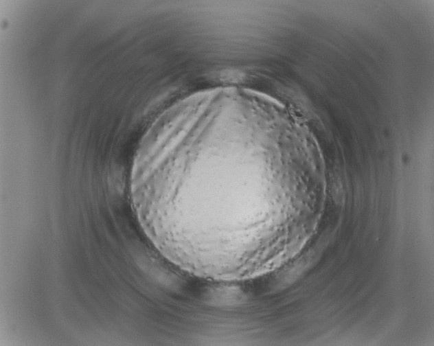 X0000084000374200703022012