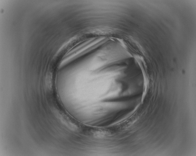X0000084000400200703022011
