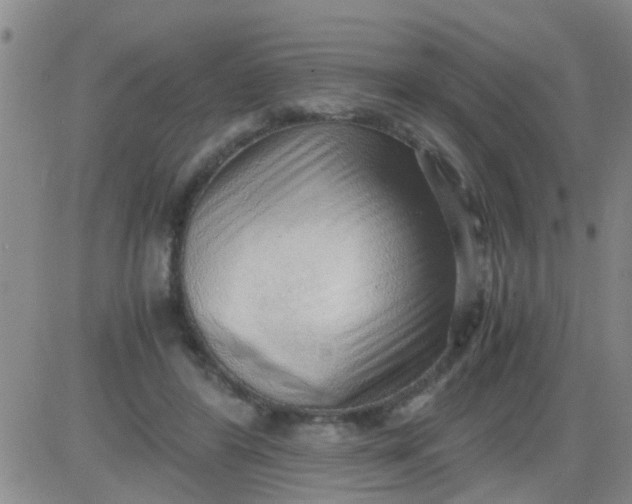 X0000084000404200703022011