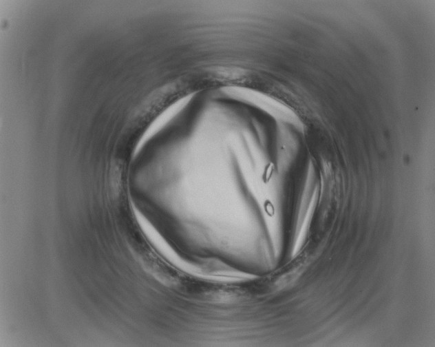 X0000084000412200703022010