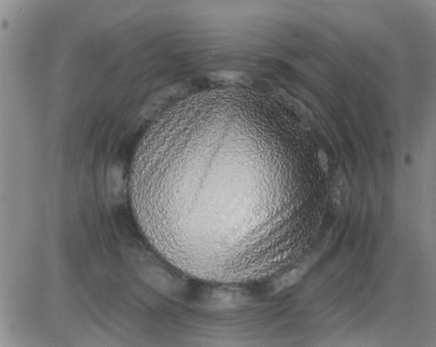 X0000084000420200703022010