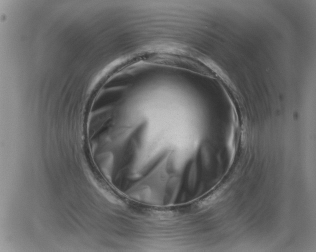 X0000084000438200703022009