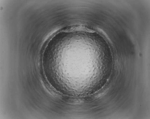 X0000084000443200703022009