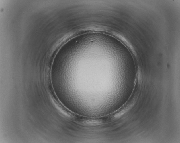 X0000084000445200703022010