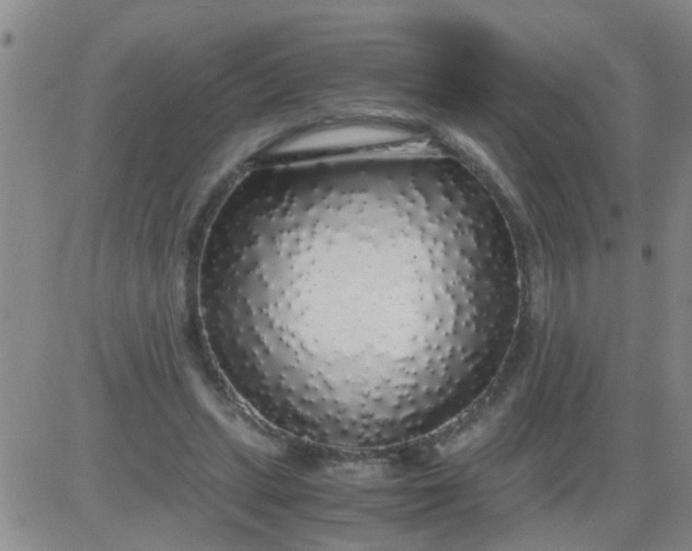 X0000084000447200703022010