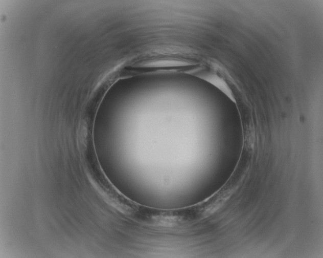 X0000084000448200703022010