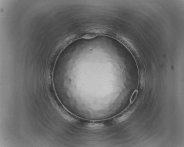 X0000084000453200703022010