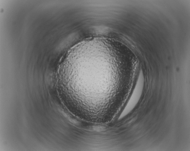 X0000084000462200703022010