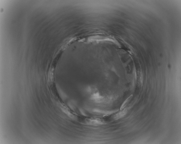 X0000084000475200703022010