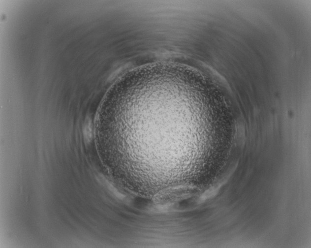 X0000084000479200703022010