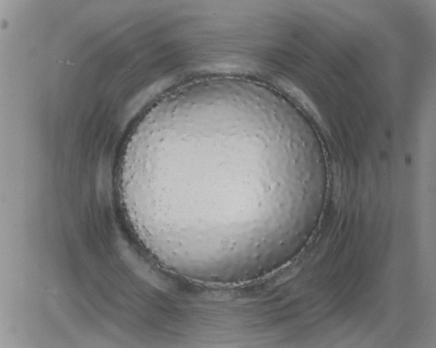 X0000084000482200703022009