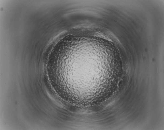 X0000084000542200703022008