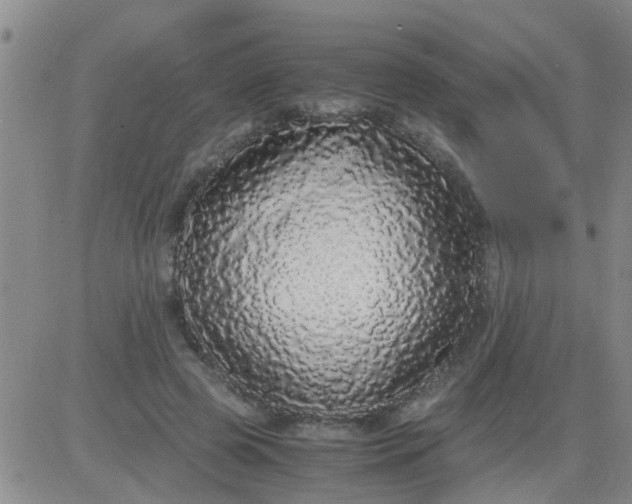 X0000084000545200703022008