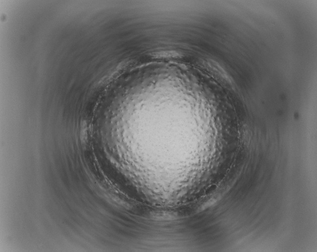 X0000084000549200703022008