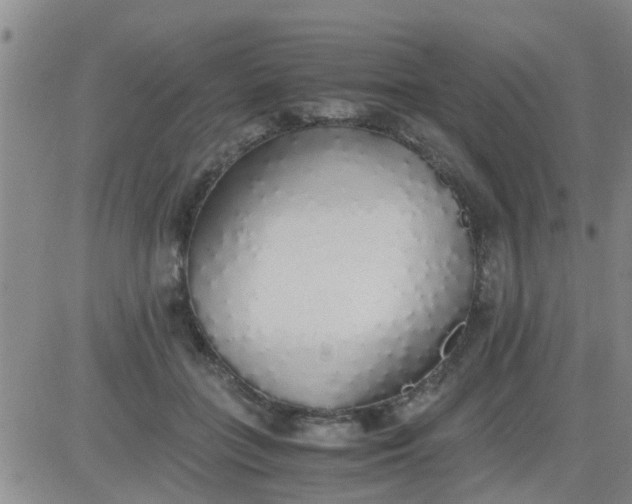 X0000084000555200703022008