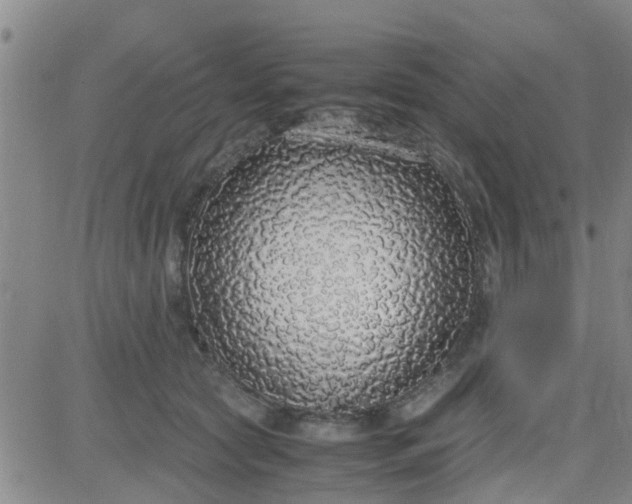 X0000084000561200703022008