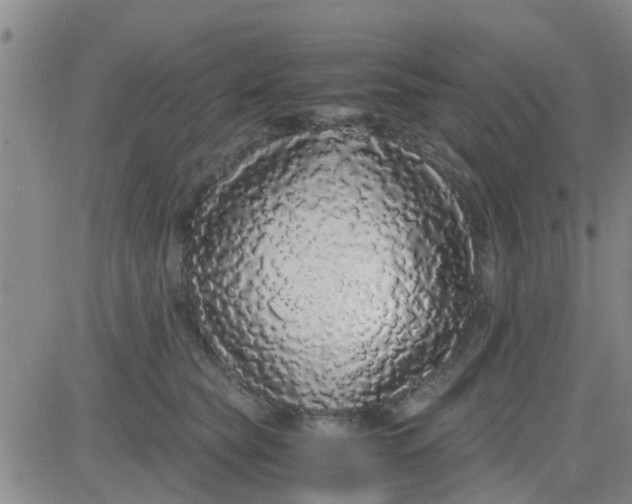 X0000084000565200703022008