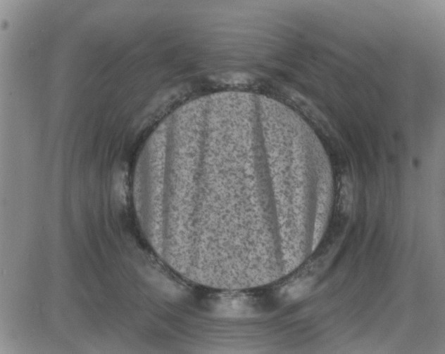 X0000084000612200703022007