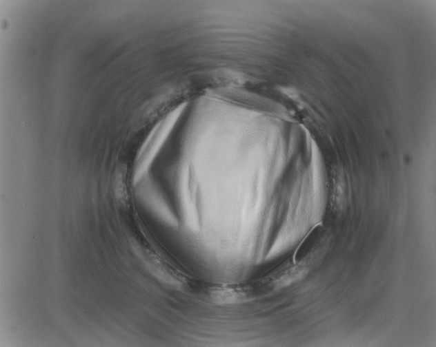 X0000084000616200703022007