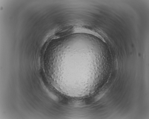 X0000084000638200703022006