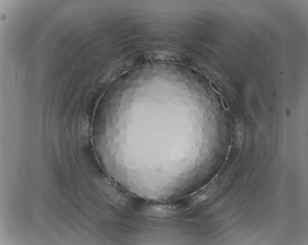 X0000084000657200703022007