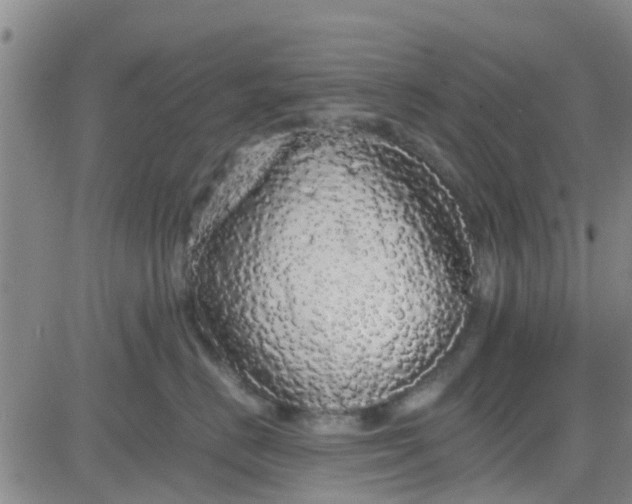 X0000084000670200703022007