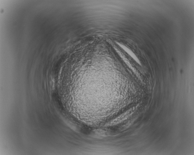 X0000084000703200703022006