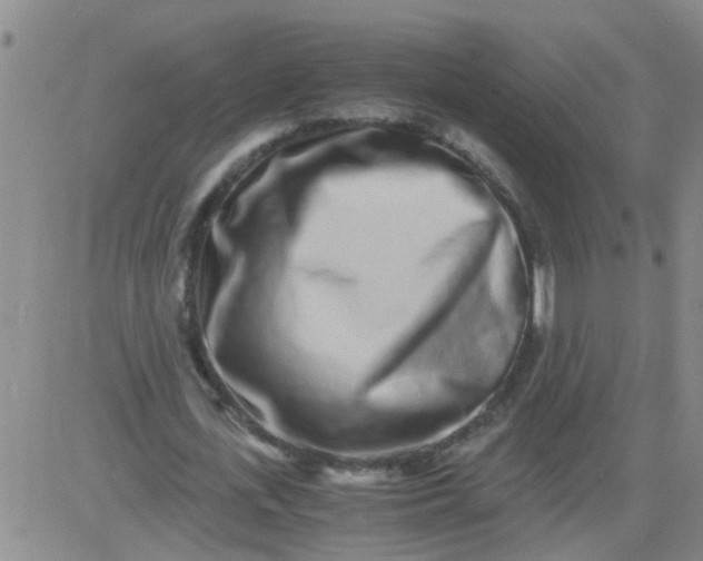 X0000084000723200703022005