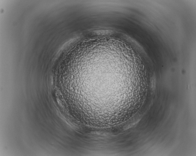 X0000084000733200703022005