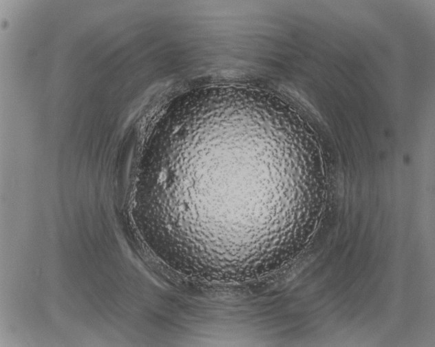 X0000084000738200703022005